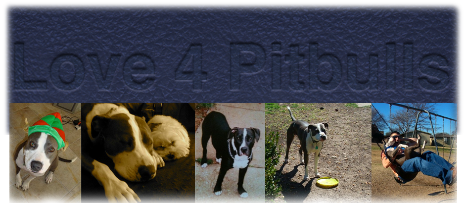 Pitbull Love Logo