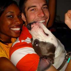 Pit Bull Family